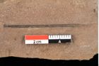 Foto (Detailansicht) von Pinus centrotos Unger (NHMW-GEO-2024-0188-0219)
